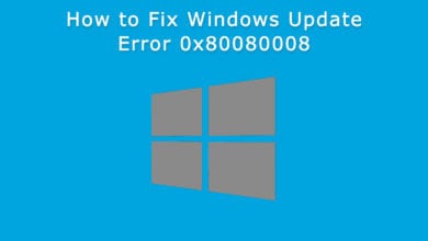 Error 0x80080008 Screenshot, Windows Update, Windows 10