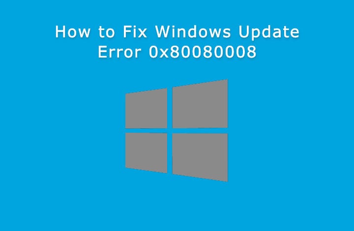 Error 0x80080008 Screenshot, Windows Update, Windows 10