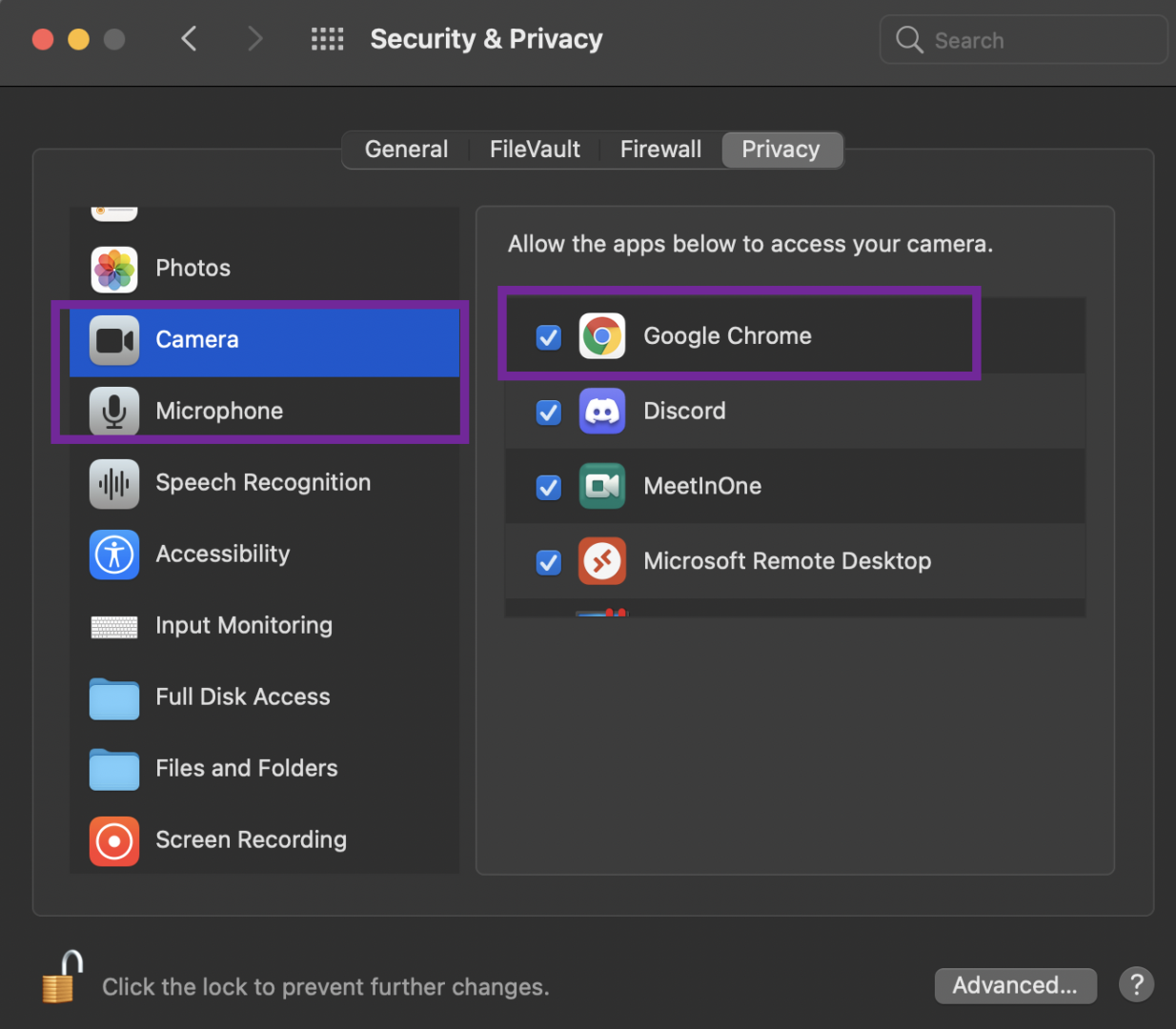 Granting Camera and Microphone access - Privacy settings