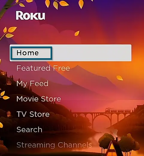 'Home' tab selected on Roku TV