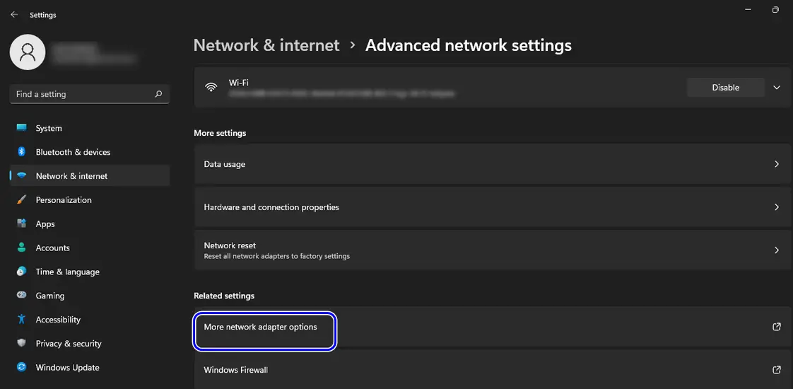 Click More Network Adapter Options