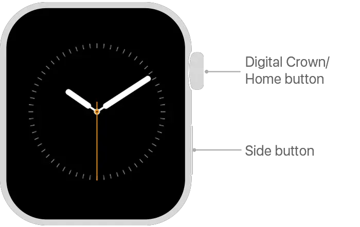 Apple Watch Crown and Side buttonApple Watch Crown and Side button