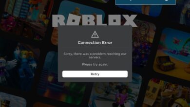 Solve the Roblox connection error