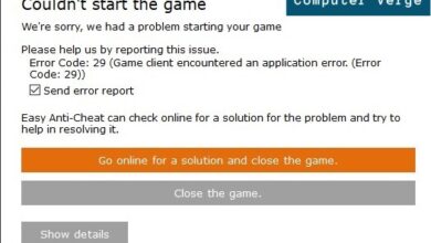 Causes and Solutions for Steam Error 29