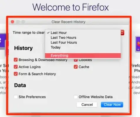 How to delete browser history in browser