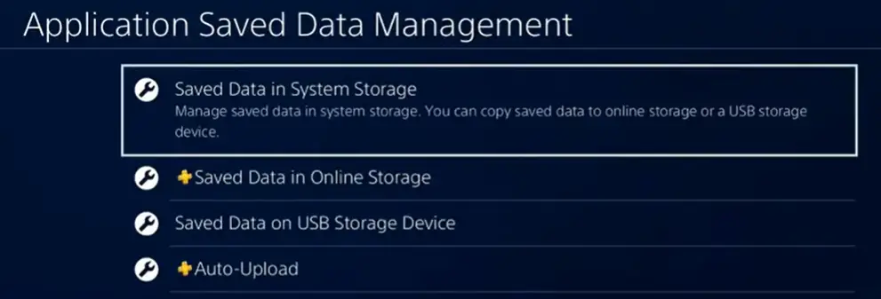 The options that appear in the Application Saved Data Management section.