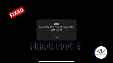 How to fix the Netflix Error Code 17377