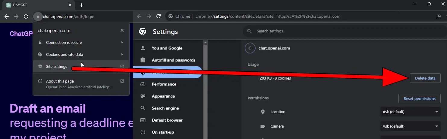 Delete ChatGPT Data in the Browser