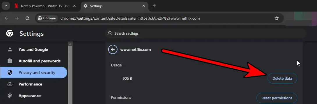 Delete Netflix Site Data in Chrome